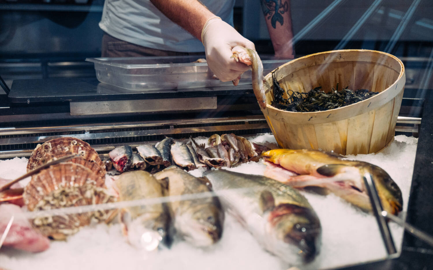 Frisch in der Auslage: Fische und Muscheln bei Sebastian Baier Fish Butchery / ©Sebastian Baier Fish Butchery