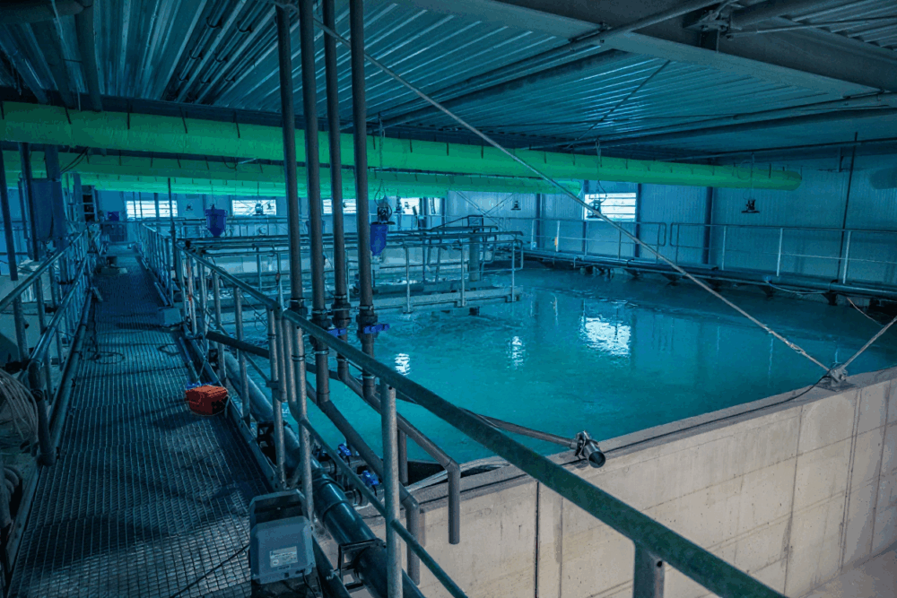 Das Projekt in Glückstadt punktet nicht nur mit regionalen Produkten, sondern ist zudem beinah komplett CO₂-neutral. /©HanseGarnelen