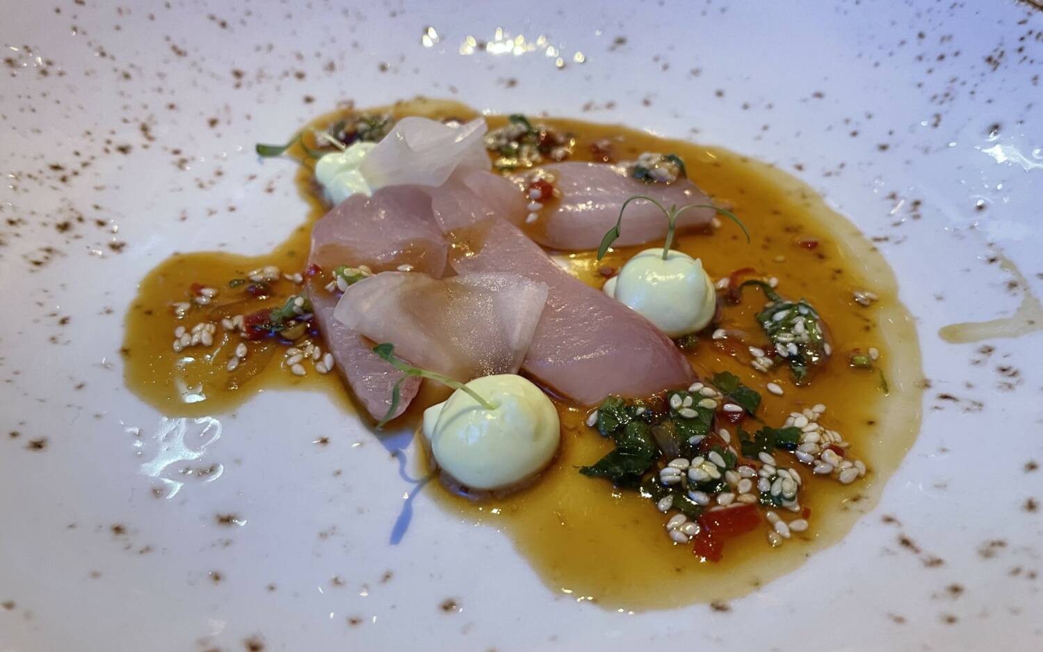 Den Auftakt des Menüs machte eine atlantische Bernsteinmakrele mit Sesam, Soja, Koriander, Limette und Wasabi-Mayo / ©Alina Fedorova