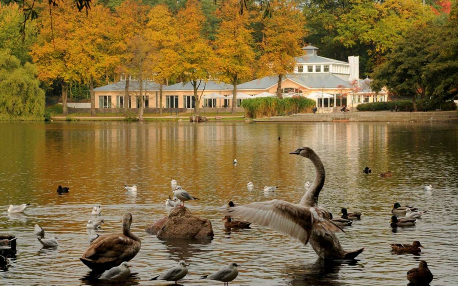 Idyllisch: Das Restaurant Leuchtturm liegt direkt am Außenmühlenteich / ©Leuchtturm