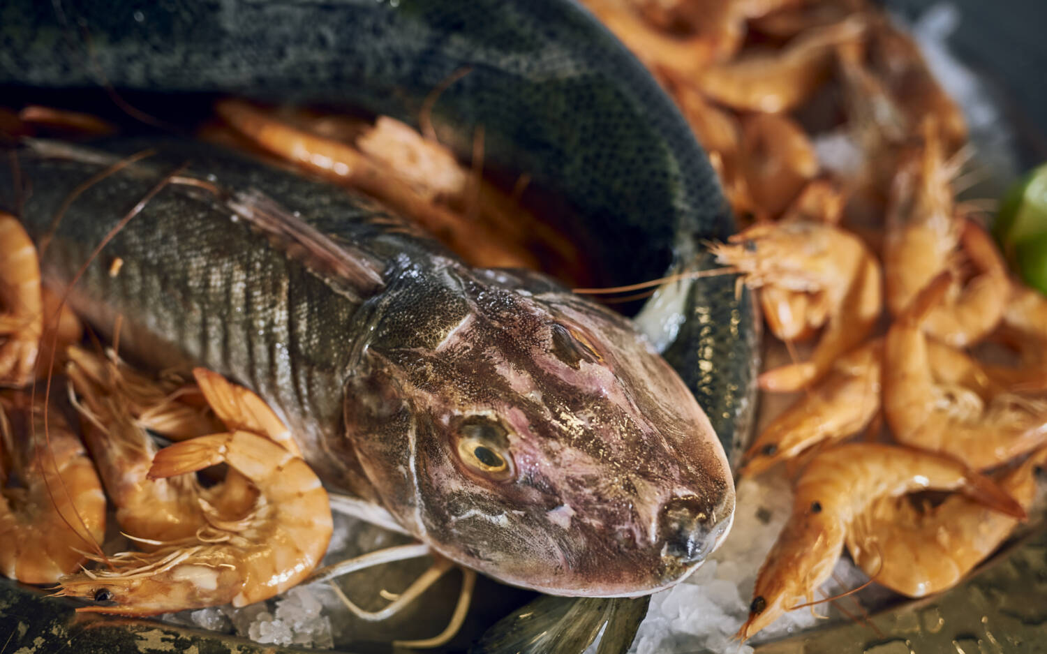Lust auf Fleisch und Fisch? Dann solltest du das Scotty’s in Ottensen besuchen! / ©Marc Sill