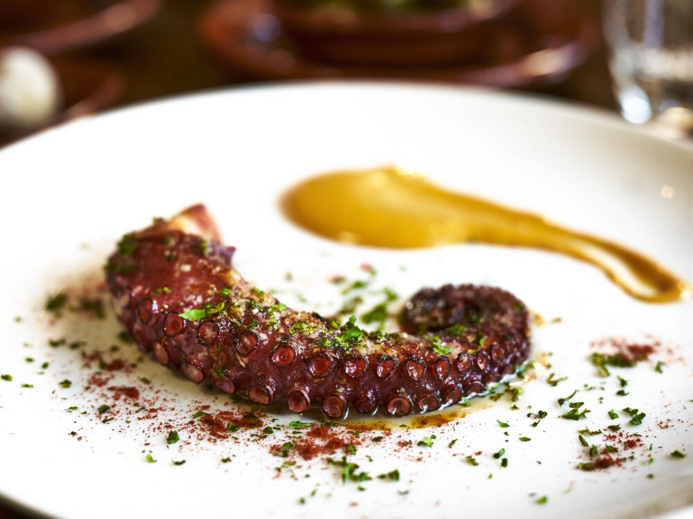 Del Sur: spanisches Fine Dining in der City! / ©Marc Sill