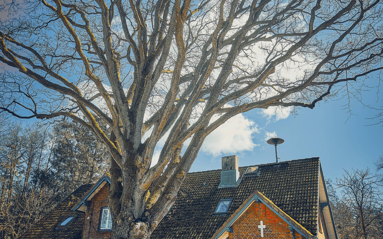 Früher eine strenge Dorfschule, heute gemütliche Einkehr: Die Alte Rader Schule hat viel Veränderung hinter sich / ©Marc Sill