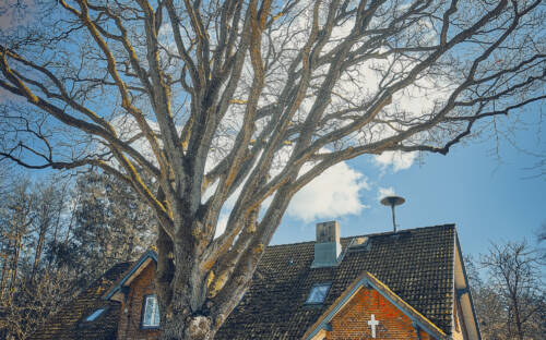 Früher eine strenge Dorfschule, heute gemütliche Einkehr: Die Alte Rader Schule hat viel Veränderung hinter sich / ©Marc Sill