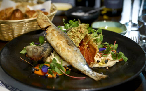 Im Frischeparadies Bistro in Altona gibt es Fisch, Fisch und Fisch! / ©Marc Sill