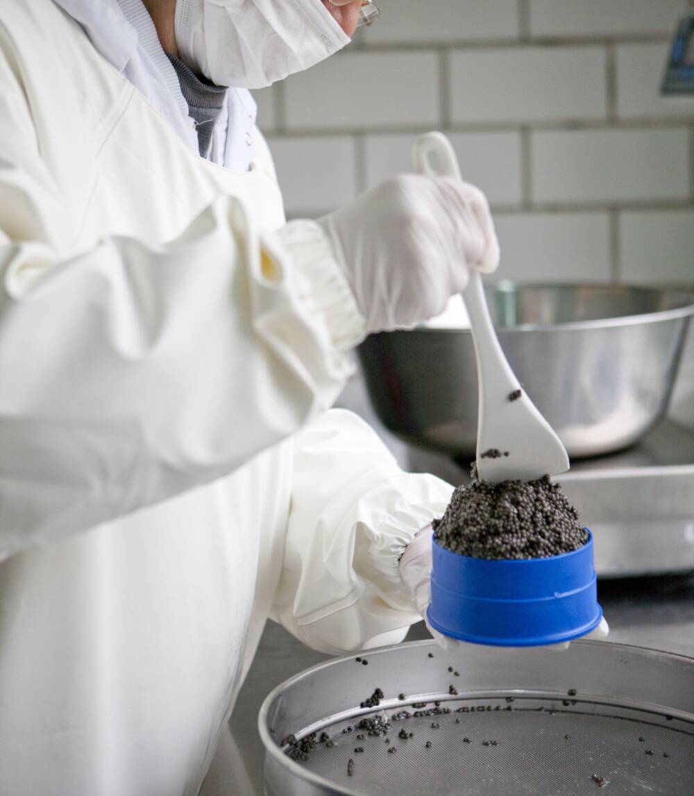 Damit das Produkt korrekt reifen kann, werden die Caviardosen prall gefüllt / ©Dieckmann & Hansen
