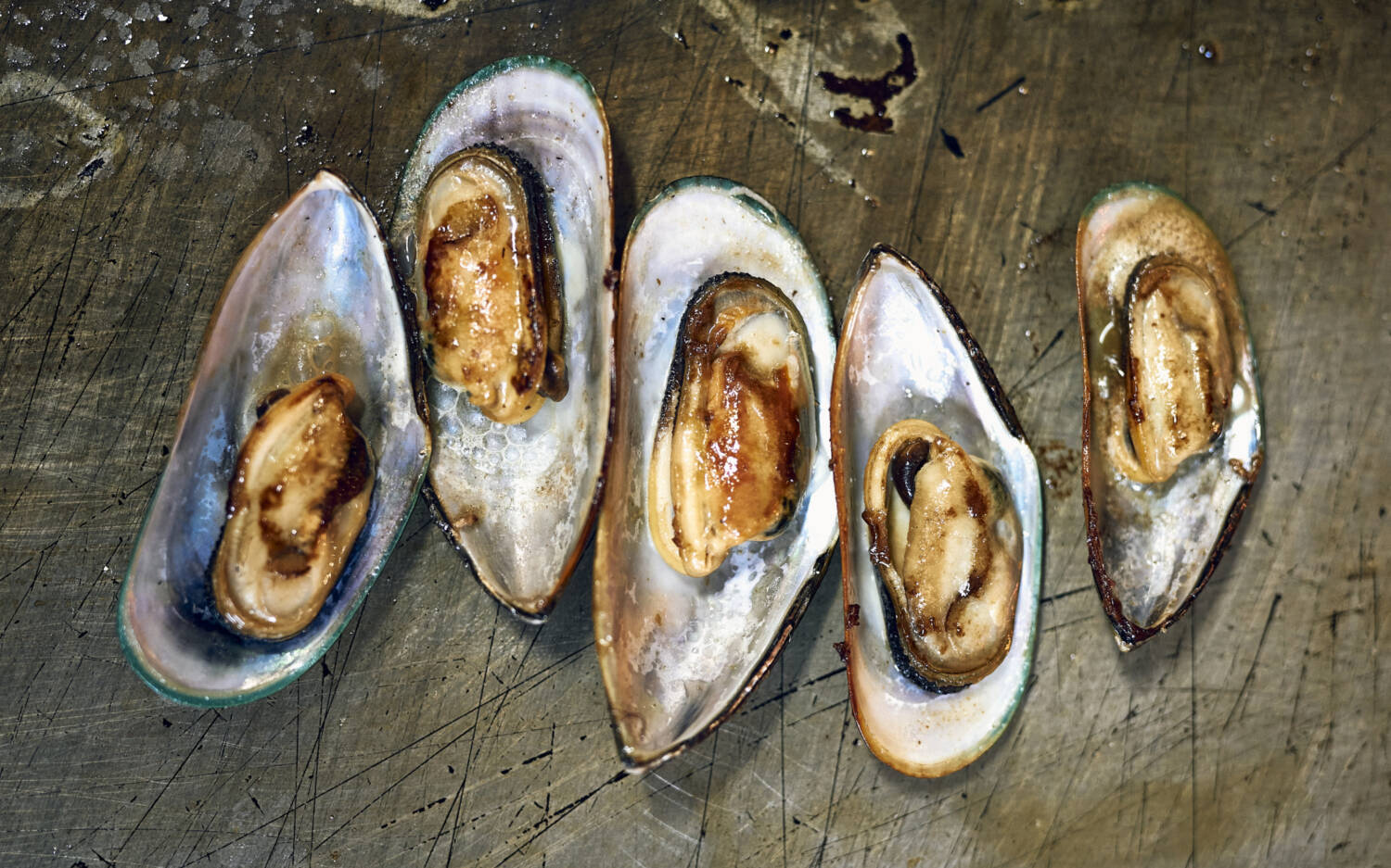 Mitten auf St. Pauli, und doch ein Ort zum Runterkommen – ein Ort des Seins und Genießens. Mit diesen hervorragenden Austern überzeugt das Copper House schon sehr / ©Marc Sill