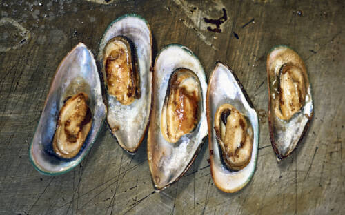 Mitten auf St. Pauli, und doch ein Ort zum Runterkommen – ein Ort des Seins und Genießens. Mit diesen hervorragenden Austern überzeugt das Copper House schon sehr / ©Marc Sill