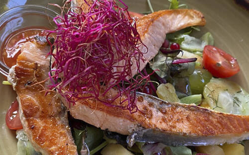 Ausgefallene Fischgerichte im Bistro Elbe 27 /  ©Bistro Elbe 27