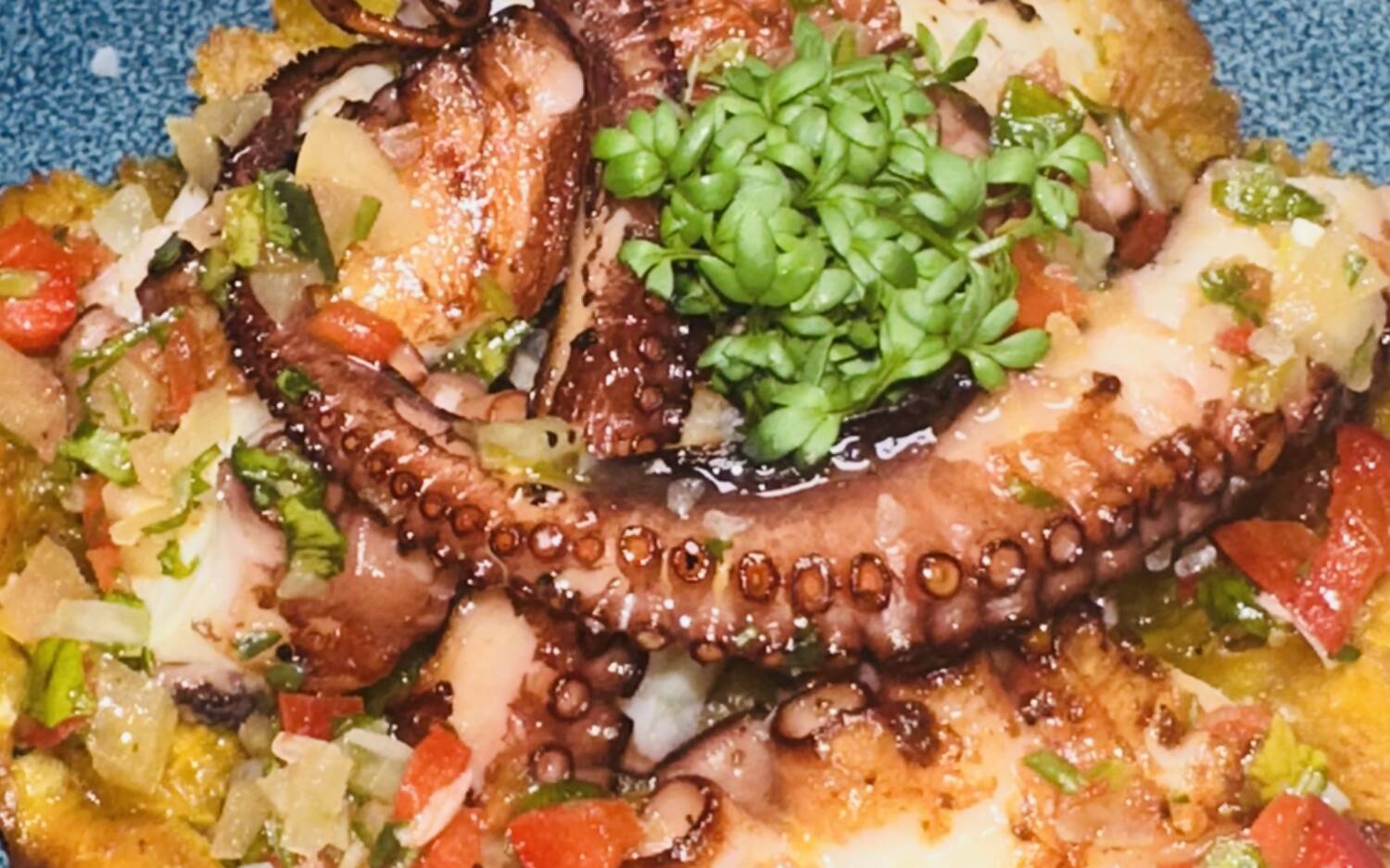 Das Atlantis Bistro entstand mit der Idee, der Welt die sogenannten Makaronesischen Inseln (Kap Verde, Azoren, Madeira und Kanarische Inseln) bekannt zu machen / ©Carlos Tavares 