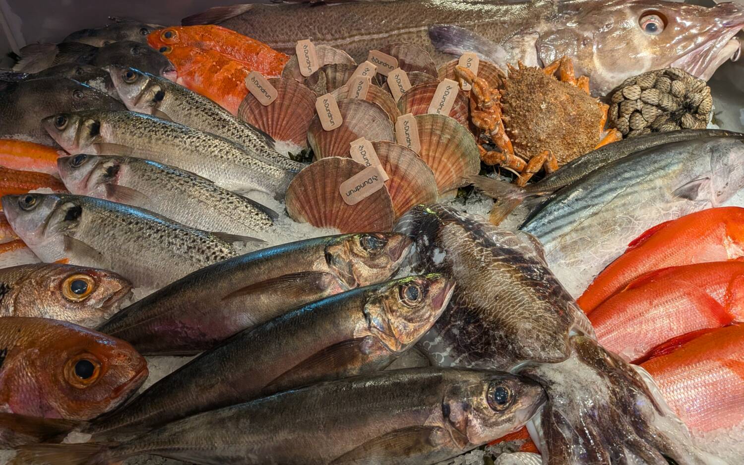 Frisch gefischt – Bei der Seafood-Show präsentiert Hummer Pedersen die eigenen Produkte / ©Fred Guiot