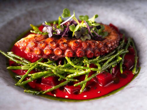 Gegrillter Oktopus auf Rote-Bete-Sud mit feiner Kräutergarnitur im Bless Restaurant Hoheluft-West / ©Bless