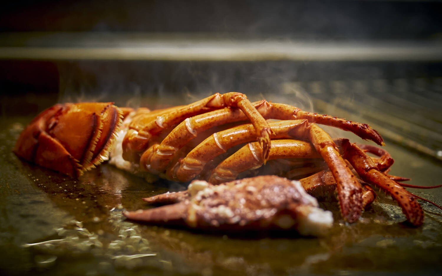 Genießerinnen und Genießer bekommen auch Austern, Hummer und Sushi gereicht / ©Marc Sill