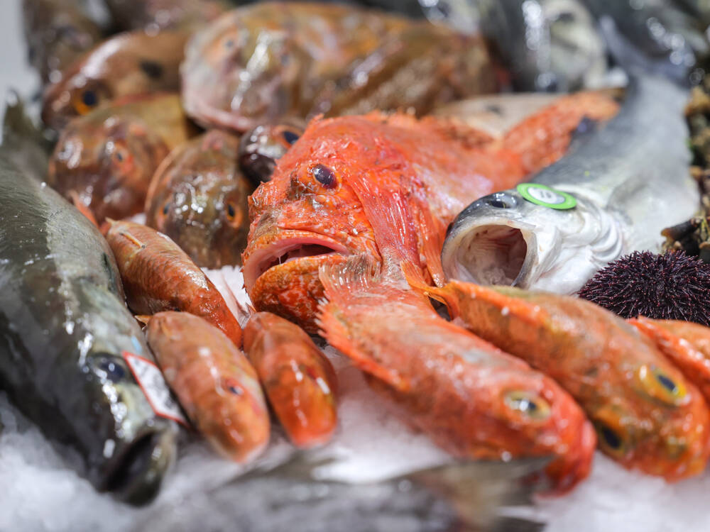 Hummer Pedersen handelt seit 1879 mit dem Besten, was die Ozeane zu bieten haben / ©Hummer Pedersen