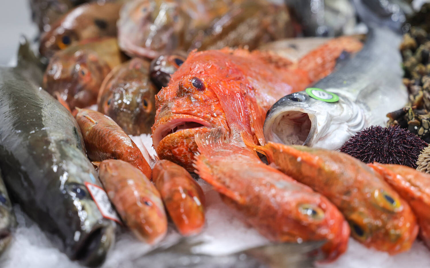 Hummer Pedersen handelt seit 1879 mit dem Besten, was die Ozeane zu bieten haben / ©Hummer Pedersen