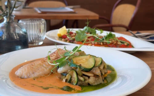 Urlaubs-Feeling in Othmarschen: mediterraner Genuss mit Fisch, Zucchini und vorzüglicher Soße / ©Carlotta Maas