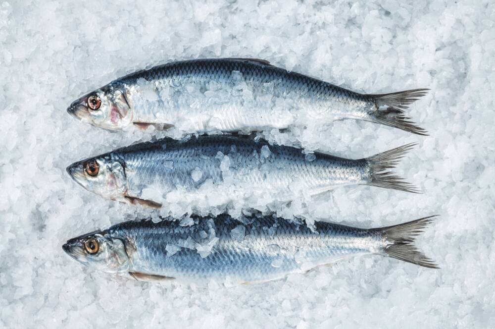 Vitamin D, Magnesium und Omega-3: Der Hering als Superfood/ ©Friesenkrone