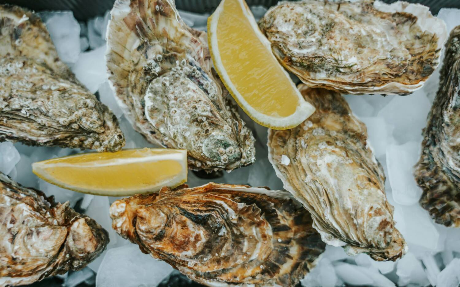 Das Marigold hat eine große und vielfältige Auswahl an panasiatischen Gerichten! / ©Unsplash/Oskar Kadaksoo