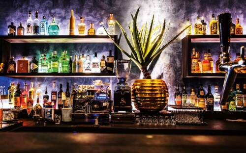 Gute Drinks, gute Stimmung und harmonische Vibes im Botanic District / ©Botanic District, 2020