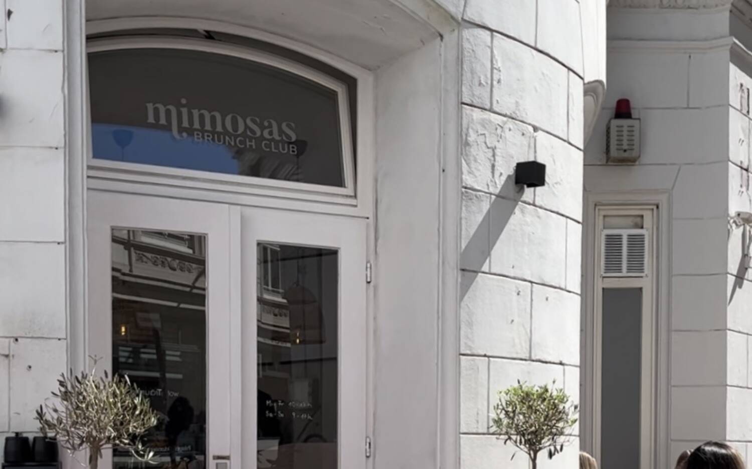 Im Mimosa Brunch Club in der Innenstadt wird jeder Brunch-Liebhaber satt und glücklich durch die vielfältige Auswahl /©Marie Oetgen