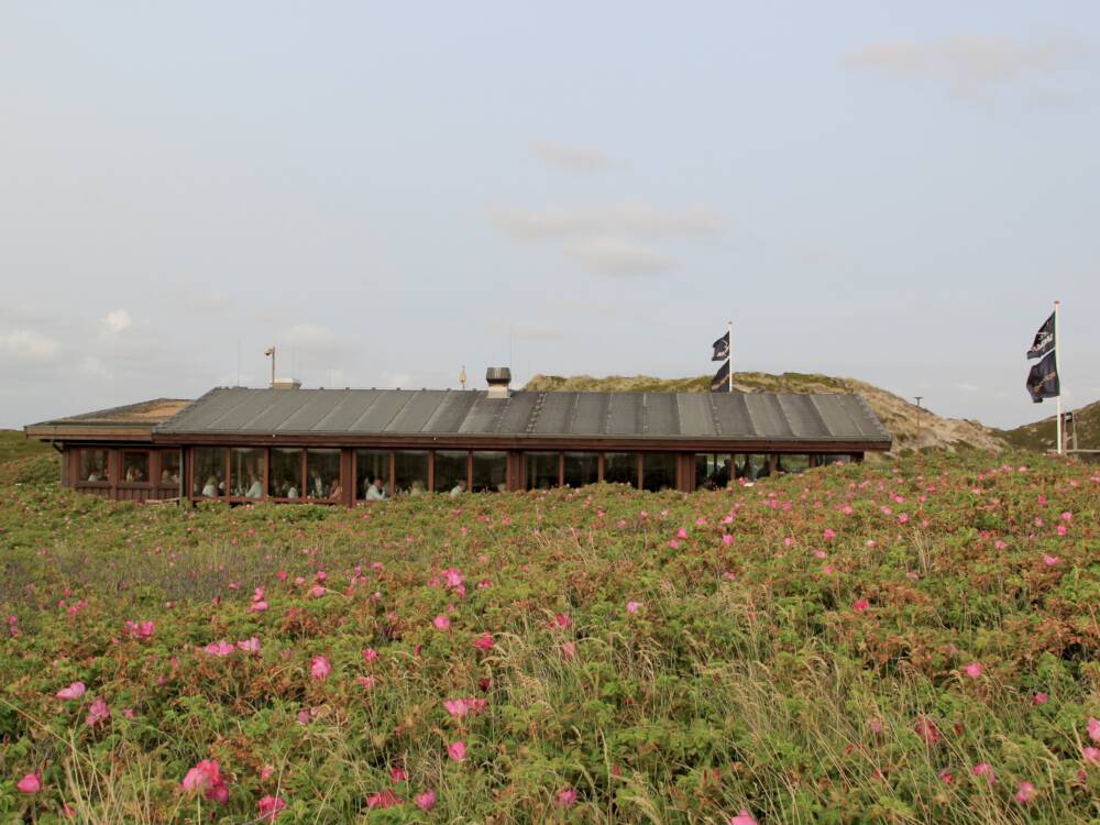 Inmitten der Dünen begeistert das Sansibar mit einzigartiger Lage und herrlicher Aussicht / ©Sansibar