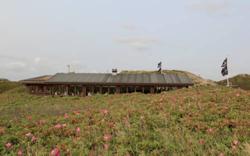 Inmitten der Dünen begeistert das Sansibar mit einzigartiger Lage und herrlicher Aussicht / ©Sansibar