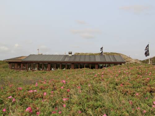 Inmitten der Dünen begeistert das Sansibar mit einzigartiger Lage und herrlicher Aussicht / ©Sansibar
