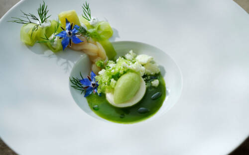 Wow – bei so einer Präsentation überraschen die zwei Sterne im Guide Michelin wirklich nicht. Ganz im Gegenteil: absolut verdient! / ©Jan-Philipp Berner