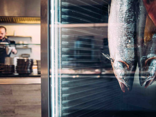 Nicht nur die schönsten Fische landen in Deutschland auf den Tellern / ©Fish Butchery