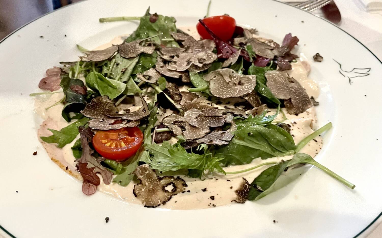Zartes Vitello Tartufo, reichlich mit aromatischem Trüffel überhobelt, ein Genuss für Auge und Gaumen / ©Foodbild