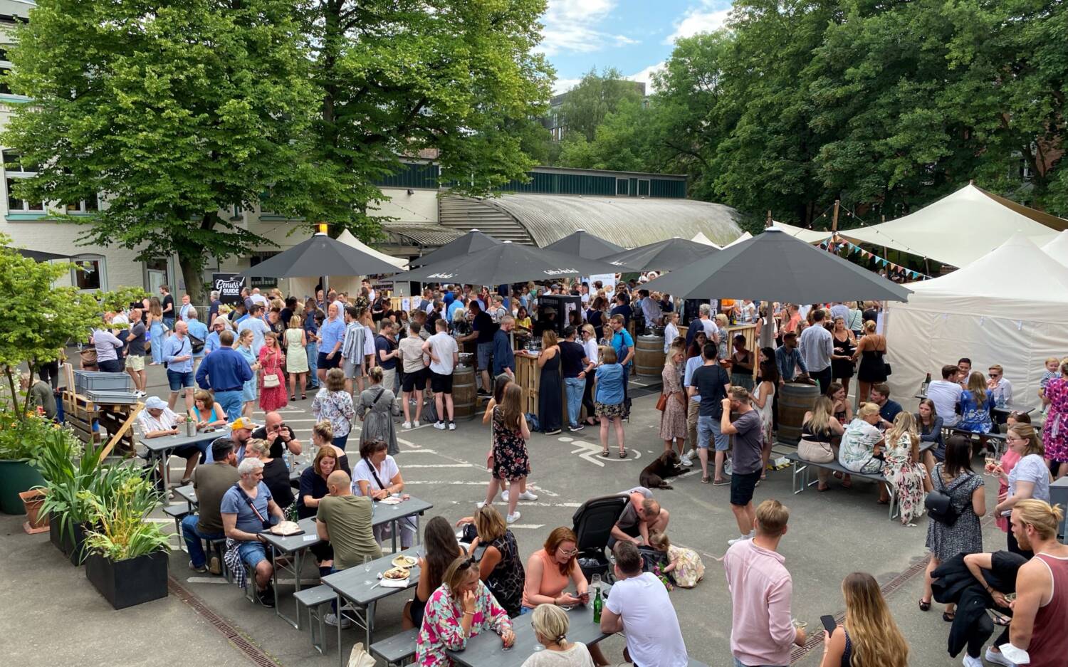Vom 11. bis 13. Juni findet das diesjährige Weinfest im Goldbekhaus statt / ©Goldbekhaus