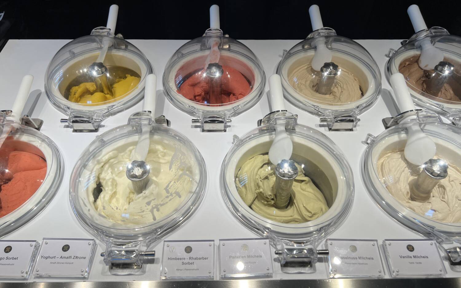 Acht hausgemachte Eissorten stehen für probierfreudige Gäste zur Auswahl / ©Paula Rieck