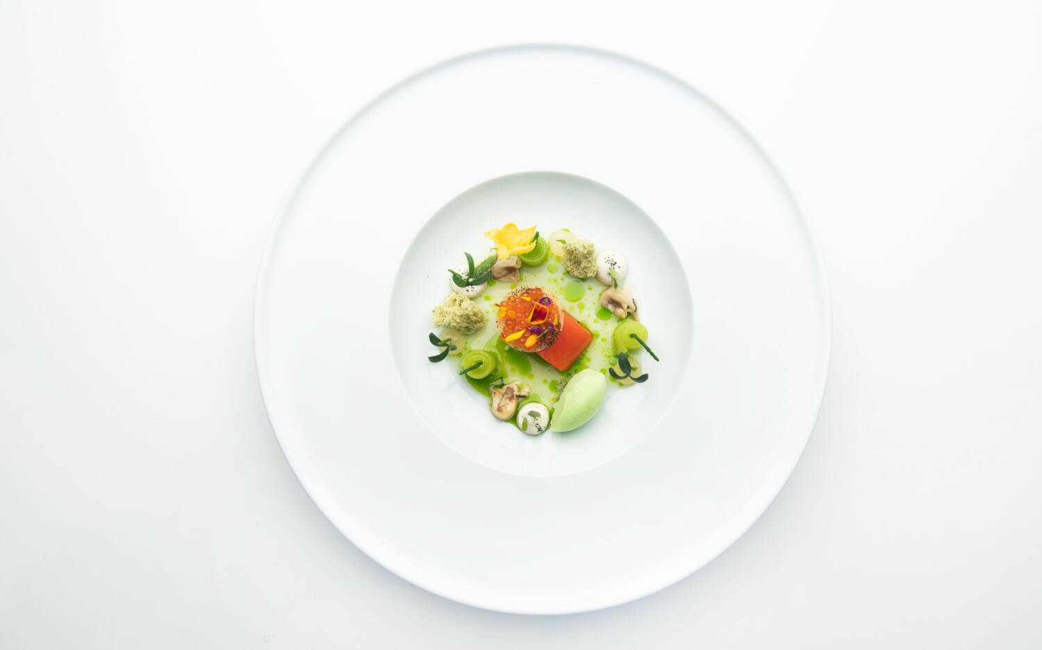 Gericht Sockey Wildlachs mit Gewürzgurke, Auster und Ingwer / ©Nils Henkel Faröer 