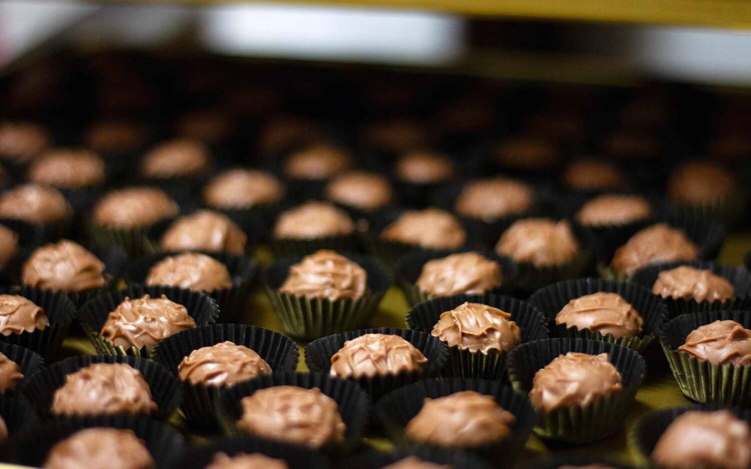 Hausgemachte Pralinen aus der Confiserie Paulsen / ©Confiserie Paulsen