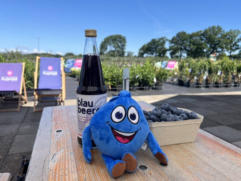Neben des Verkaufs ganzer Pflanzen an Gartencenter, verkauft Heinz Clasen Blaubeerkulturen auch Blaubeersaft und das Maskottchen Blaubert /@Paula Rieck