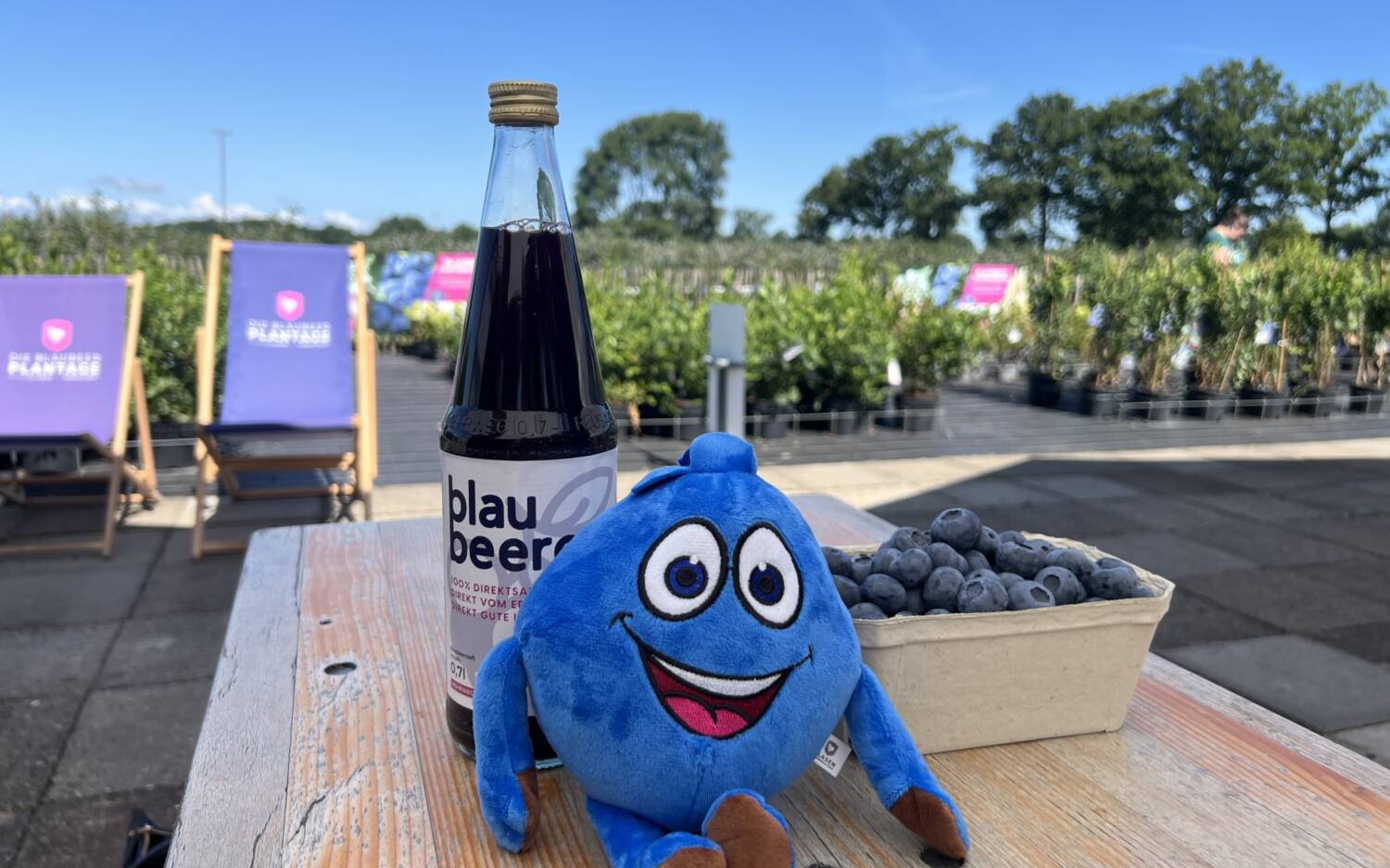 Neben des Verkaufs ganzer Pflanzen an Gartencenter, verkauft Heinz Clasen Blaubeerkulturen auch Blaubeersaft und das Maskottchen Blaubert /@Paula Rieck