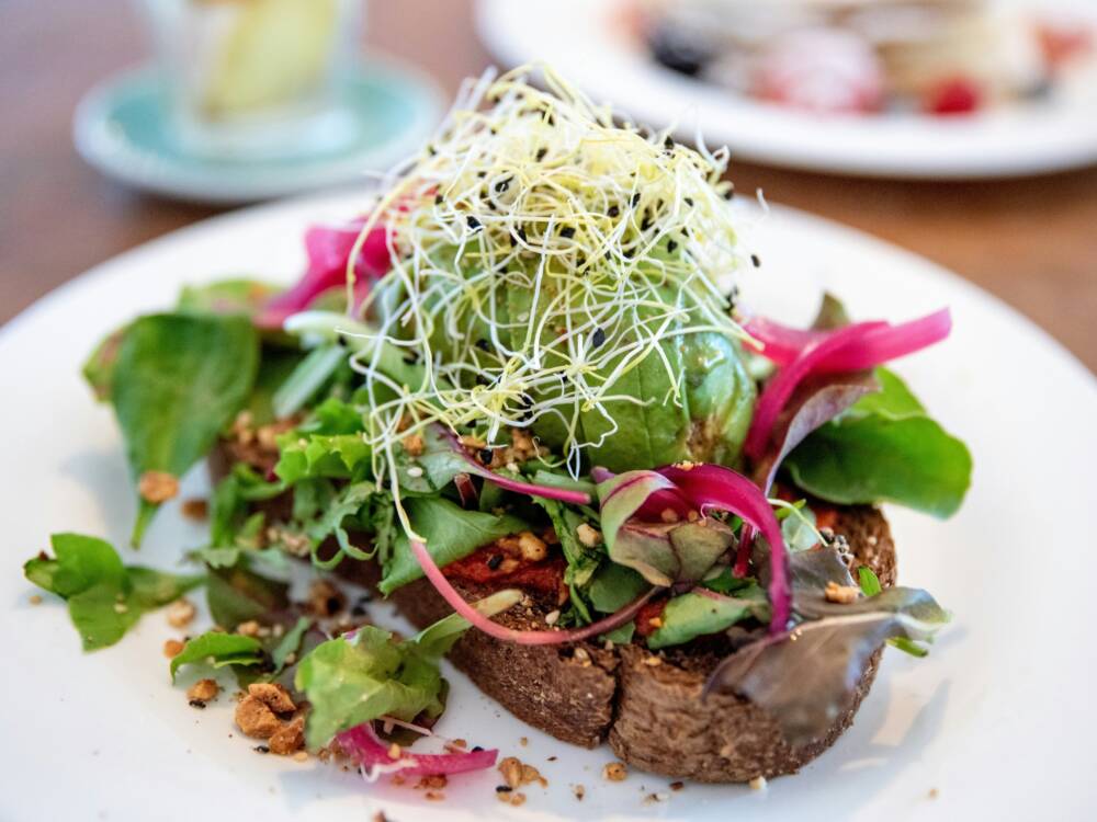 Spätes Frühstück im Paul & Matts: Die Stullen überzeugen! / ©Unsplash/Moritz Mentges