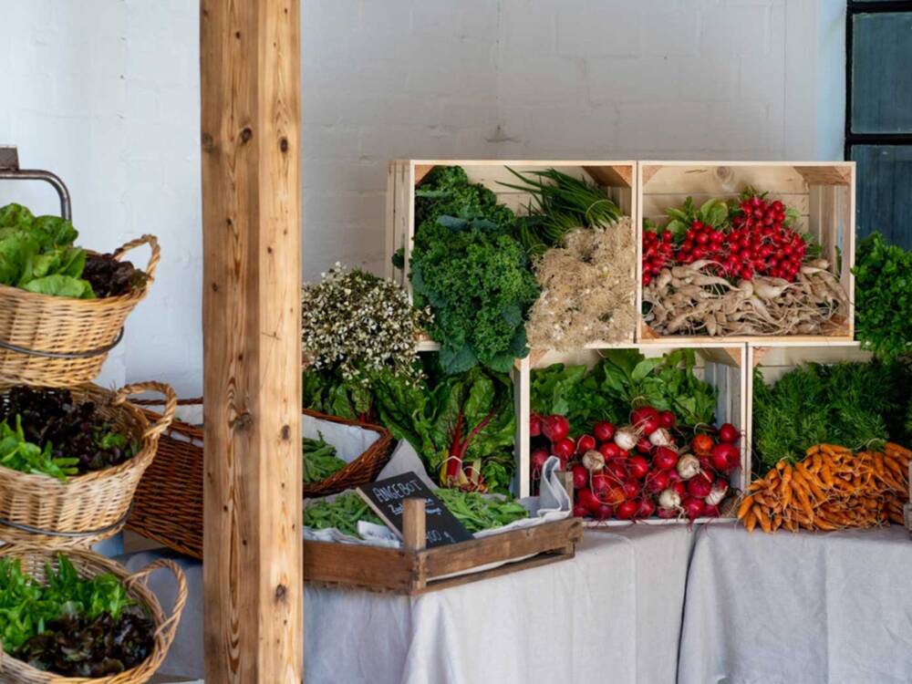 Das Gemüse wird im Hofladen beim Gut Haidehof zum Kunstwerk / ©Gut Haidehof
