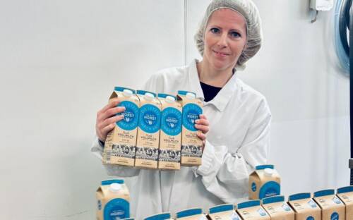 Die Meierei Horst stellt Milchprodukte wie Frischmilch, Joghurt und Butter nach traditionellen Verfahren her / ©Meierei Horst