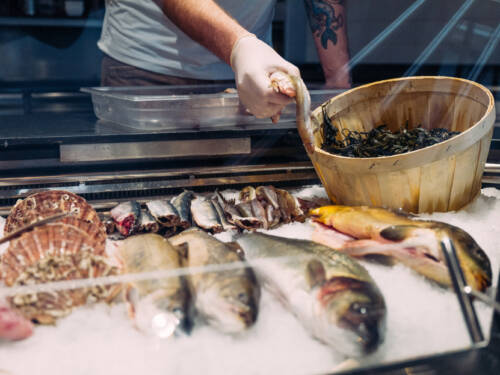 Frisch in der Auslage: Fische und Muscheln bei Sebastian Baier Fish Butchery / ©Sebastian Baier Fish Butchery