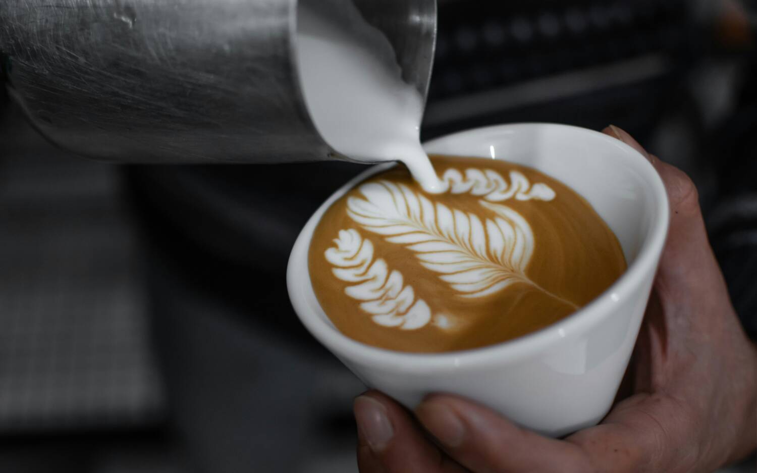Paradies für Kaffeefans mit Kursen zum Selber lernen: Nord Coast Coffee / ©Unsplash/Armin Lotfi