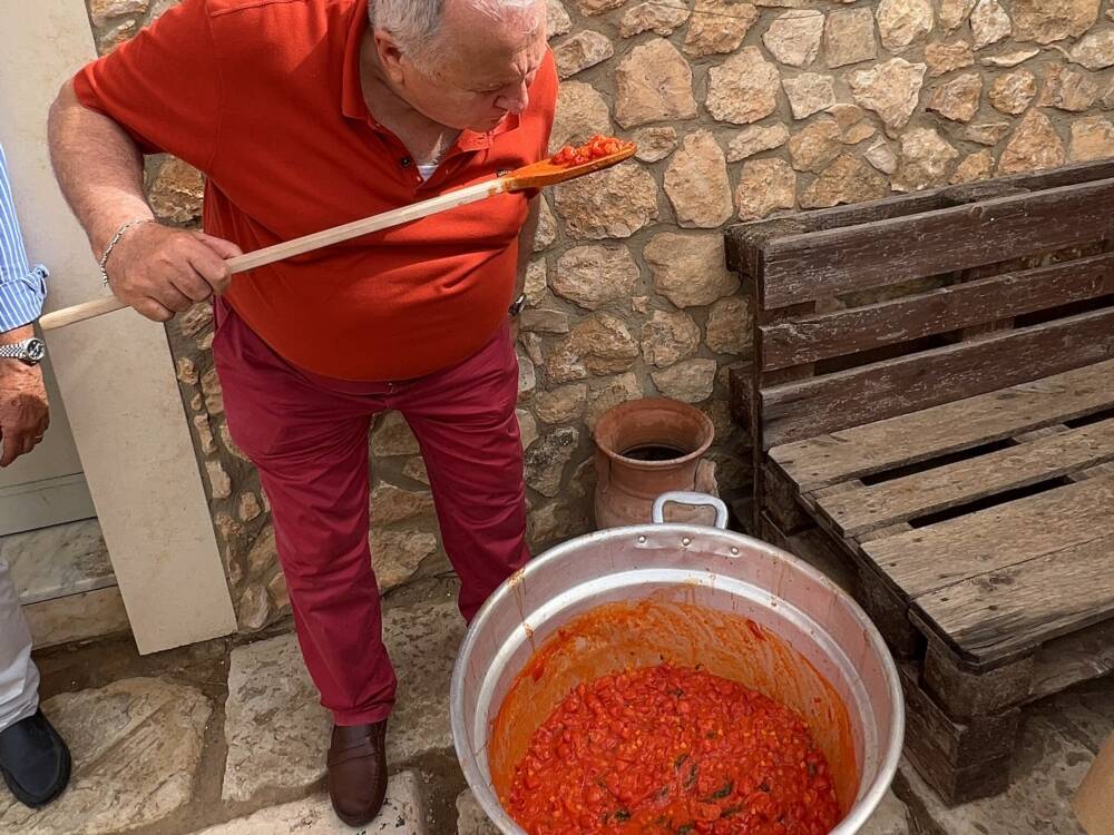 Bei Vincenzo Andronaco liegt seit seiner Kindheit der Fokus auf guten, frischen Produkten / ©Andronaco
