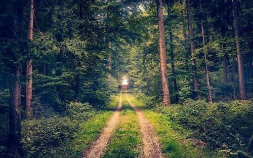 Das Hamburger Umland hat kulinarisch einiges zu bieten ©Unsplash/Alex Flash