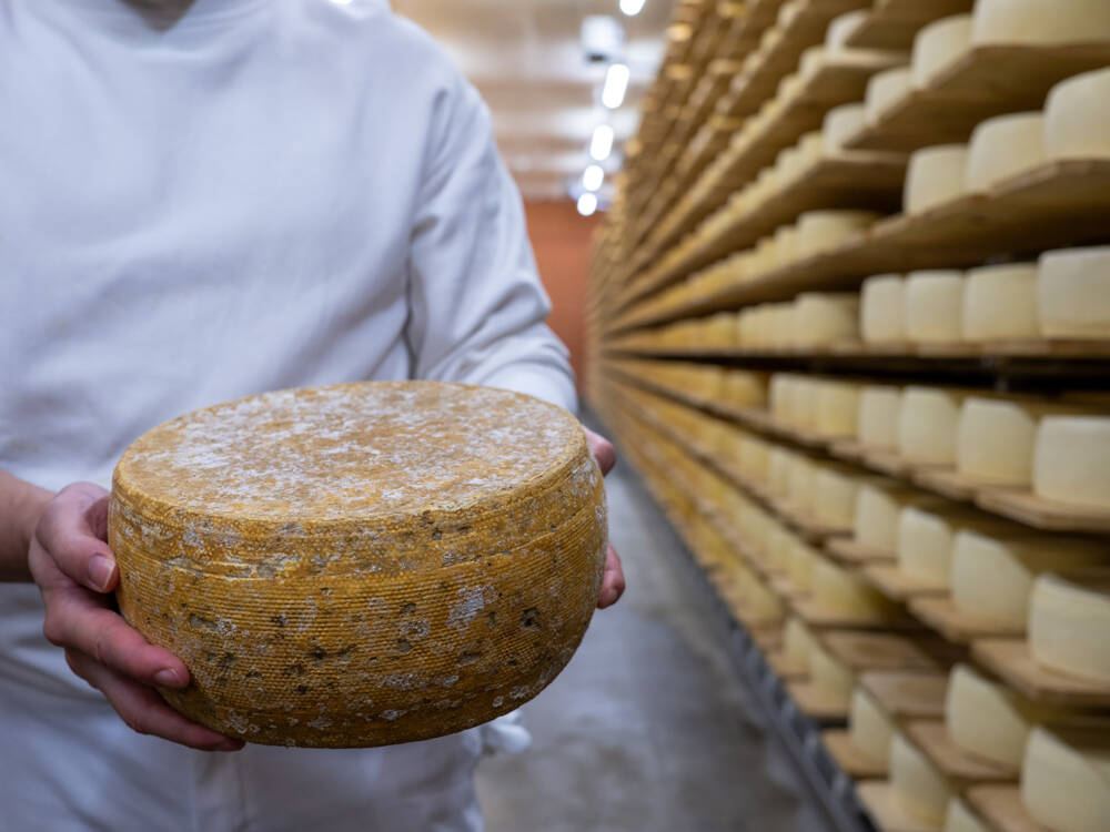 In den Reiferäumen der Affinage Maison Kober liegt mehr Käse, als man zählen kann / ©Maison Kober