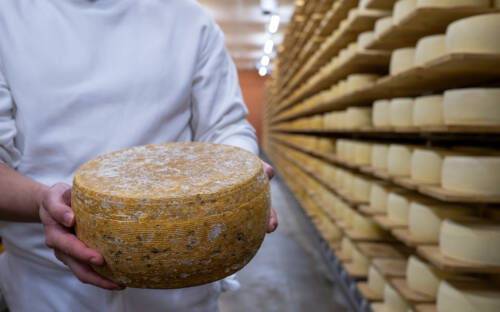 In den Reiferäumen der Affinage Maison Kober liegt mehr Käse, als man zählen kann / ©Maison Kober