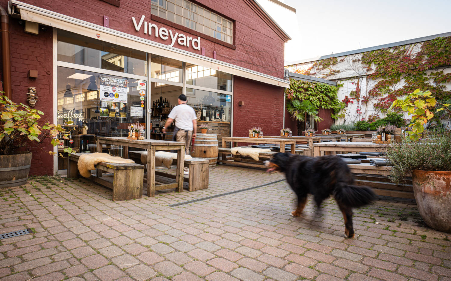 Ausgezeichnet als „Beste Weinbar in einer Vinothek“: Das Vineyard / © René Flindt 