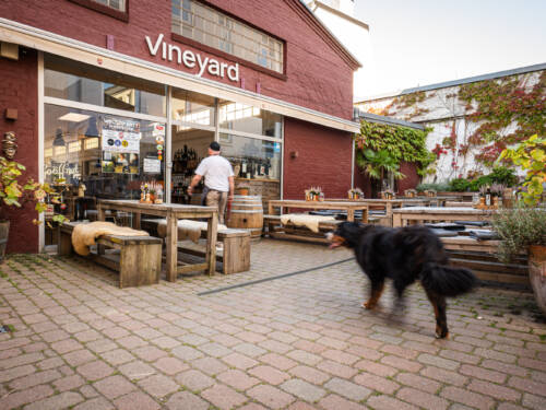 Ausgezeichnet als „Beste Weinbar in einer Vinothek“: Das Vineyard / © René Flindt 