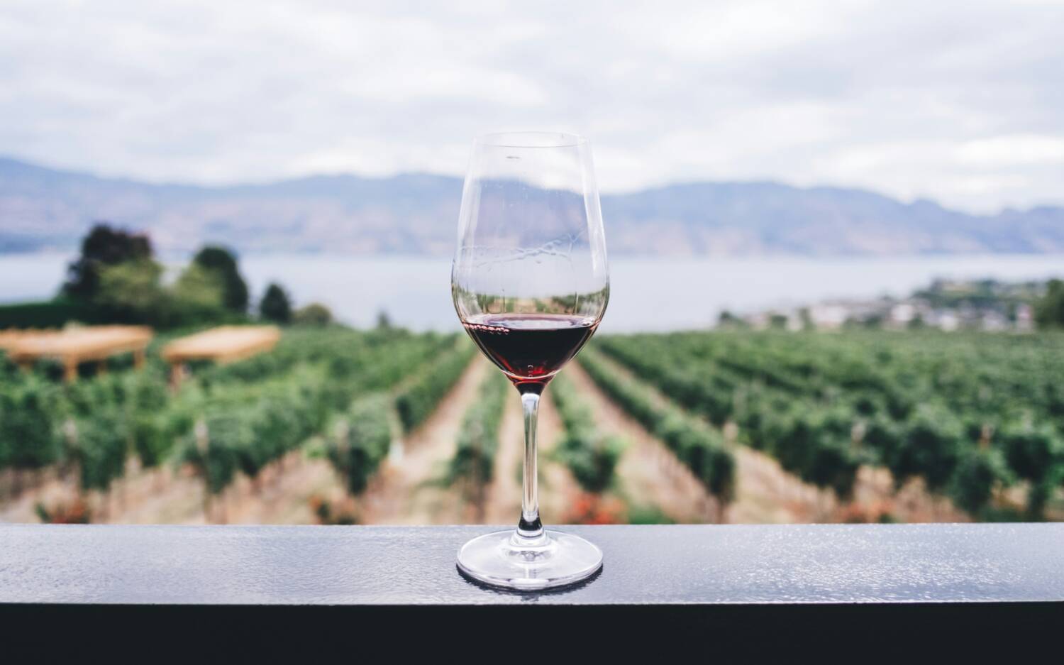Bereits zum zweiten Mal kommt die Weinmesse der unabhängigen Winzer Frankreichs nach Hamburg / © Unsplash/ Kym Ellis