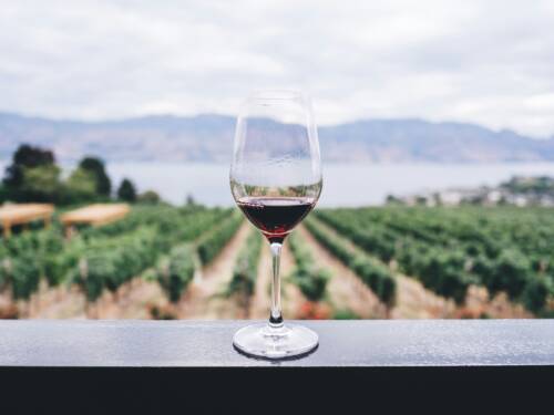 Bereits zum zweiten Mal kommt die Weinmesse der unabhängigen Winzer Frankreichs nach Hamburg / © Unsplash/ Kym Ellis
