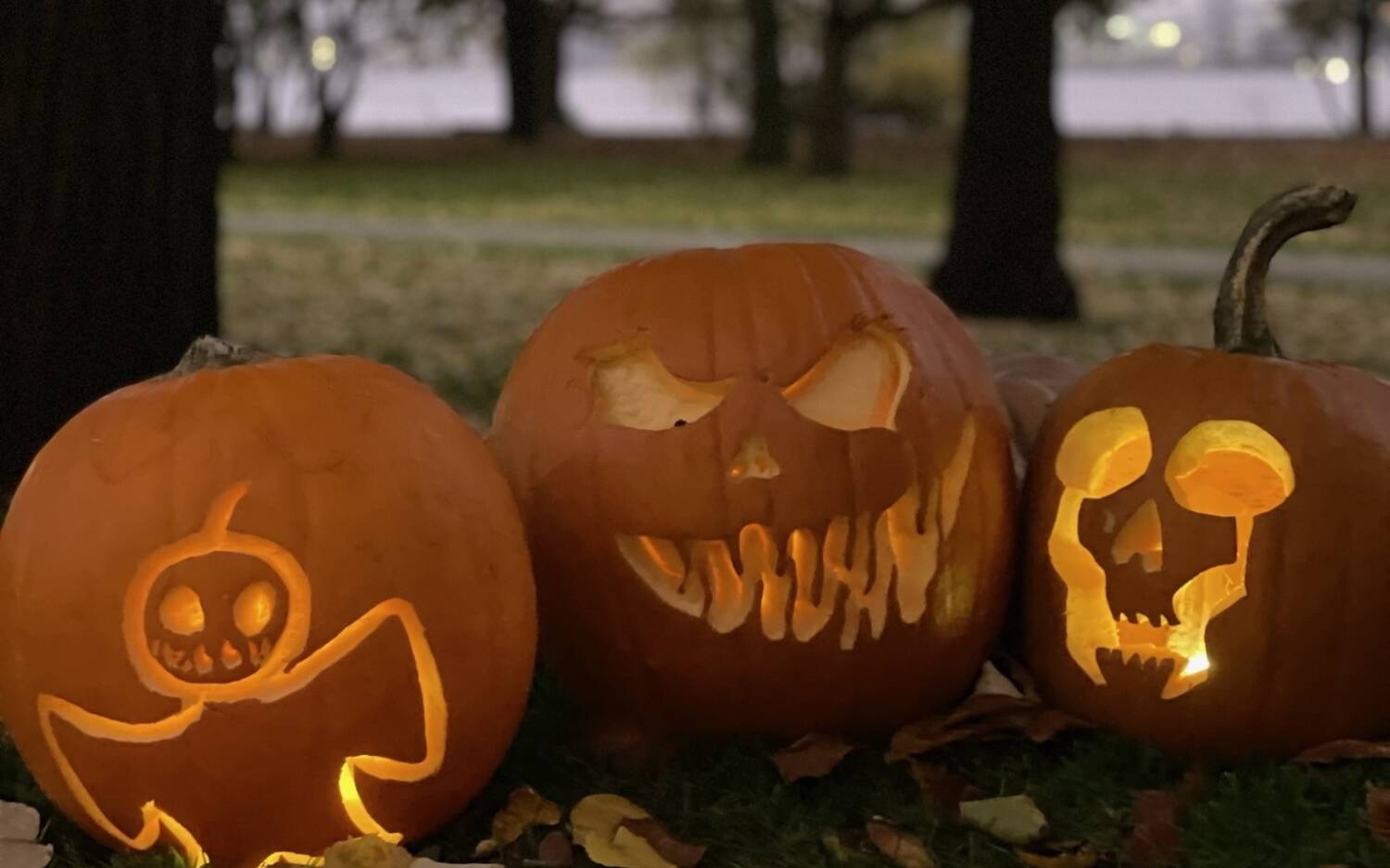 Ob verspielt oder gruselig – zu Halloween werden am The Fontenay geschnitzte Kürbisse ausgestellt / ©The Fontenay